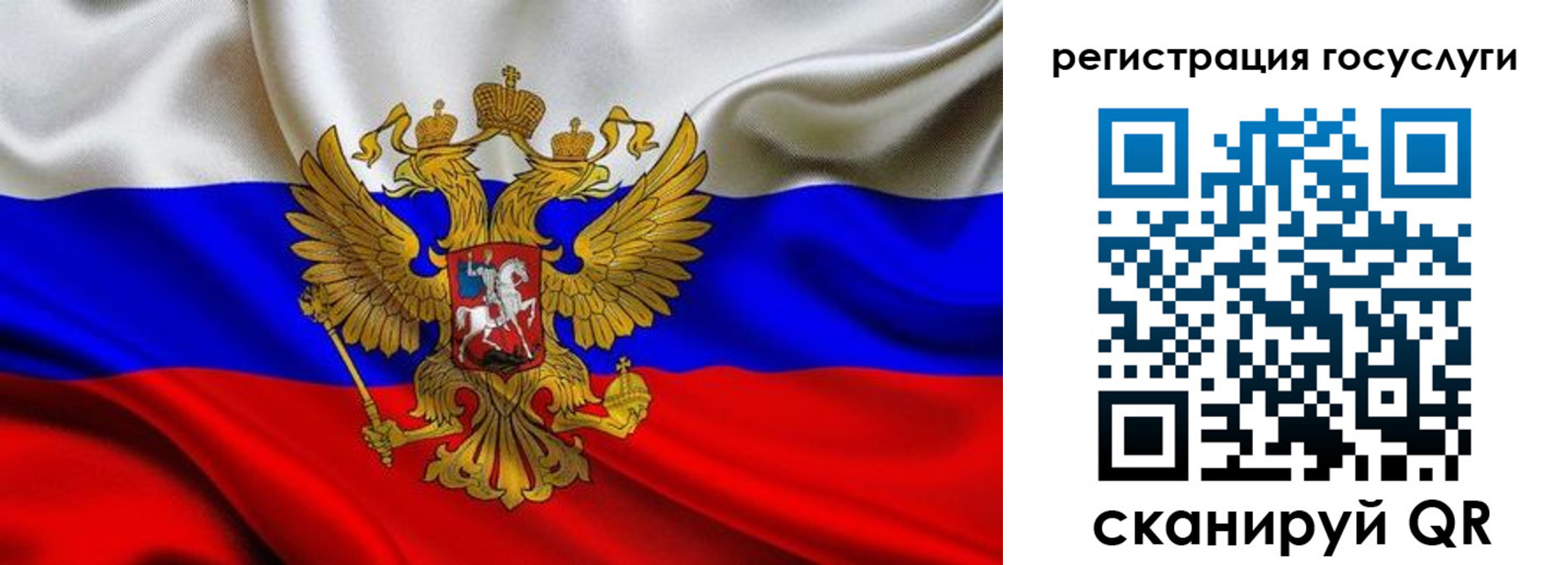 прописка гарантия в Александровске